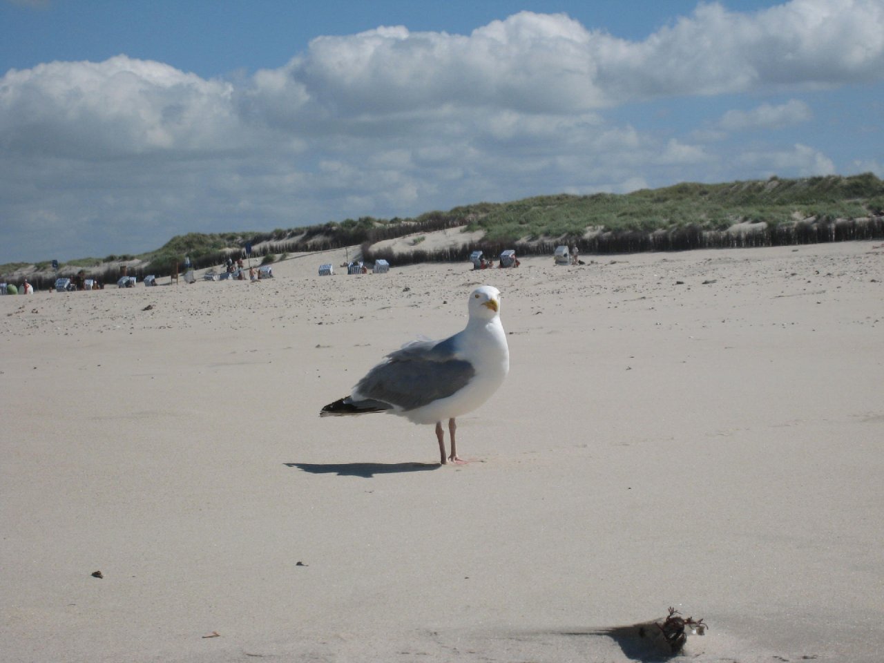 norderney_012