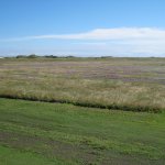 norderney_004