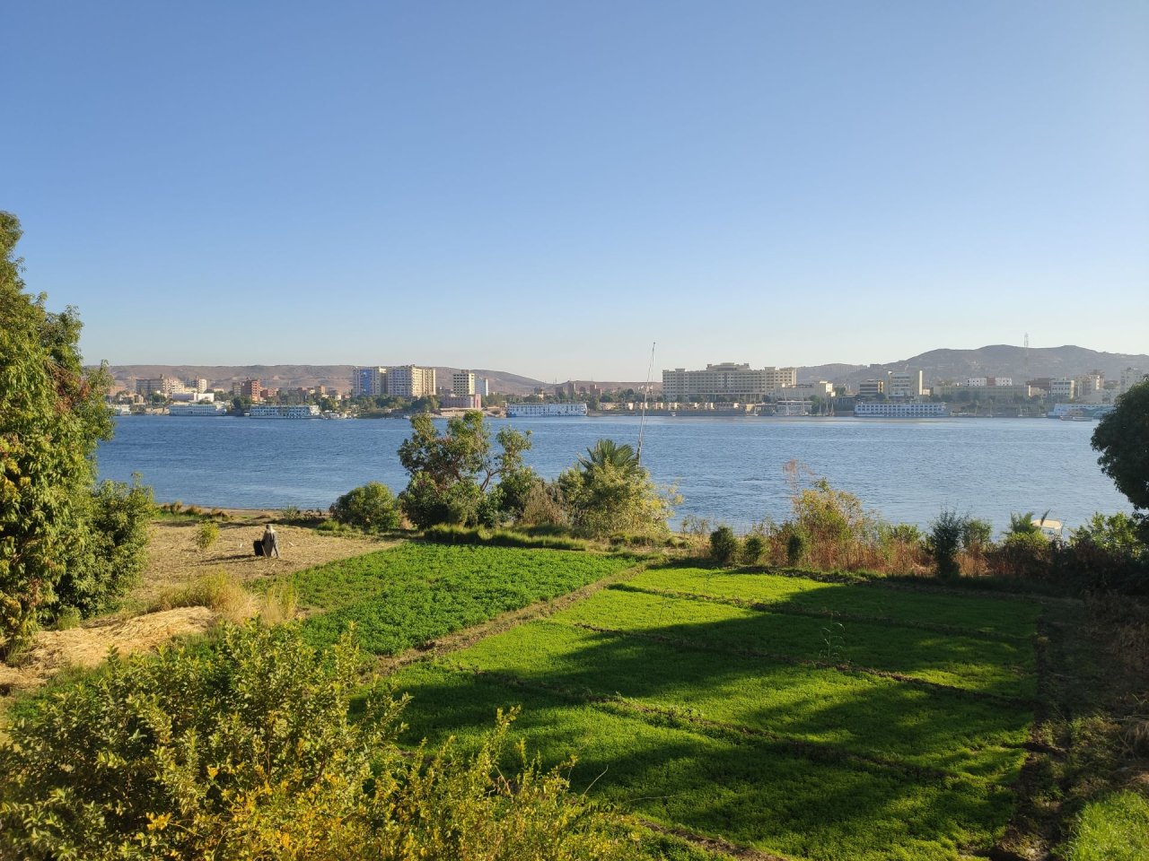 17-assuan