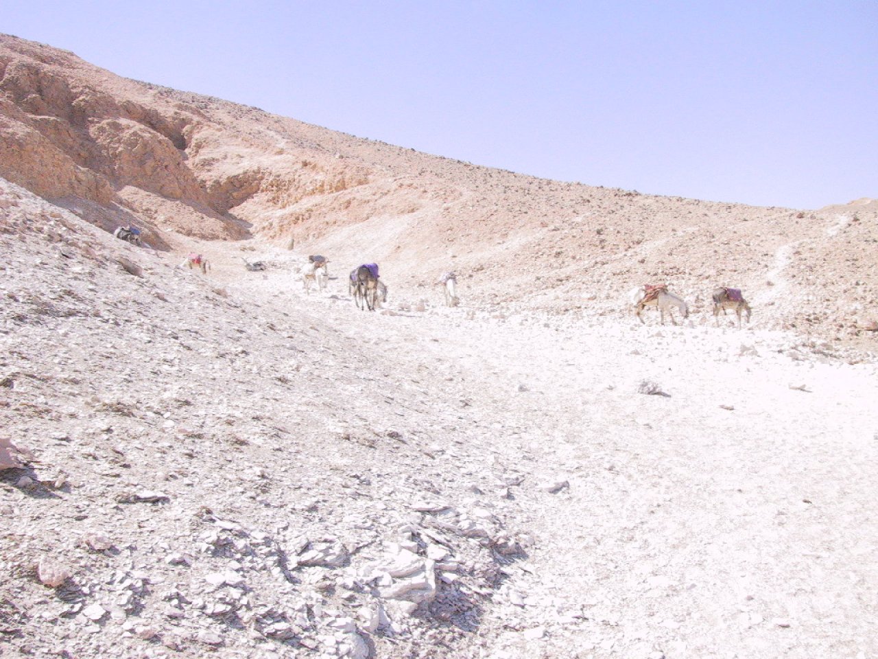 luxor_012