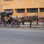 luxor_006