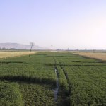 luxor_007