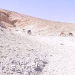 luxor_012