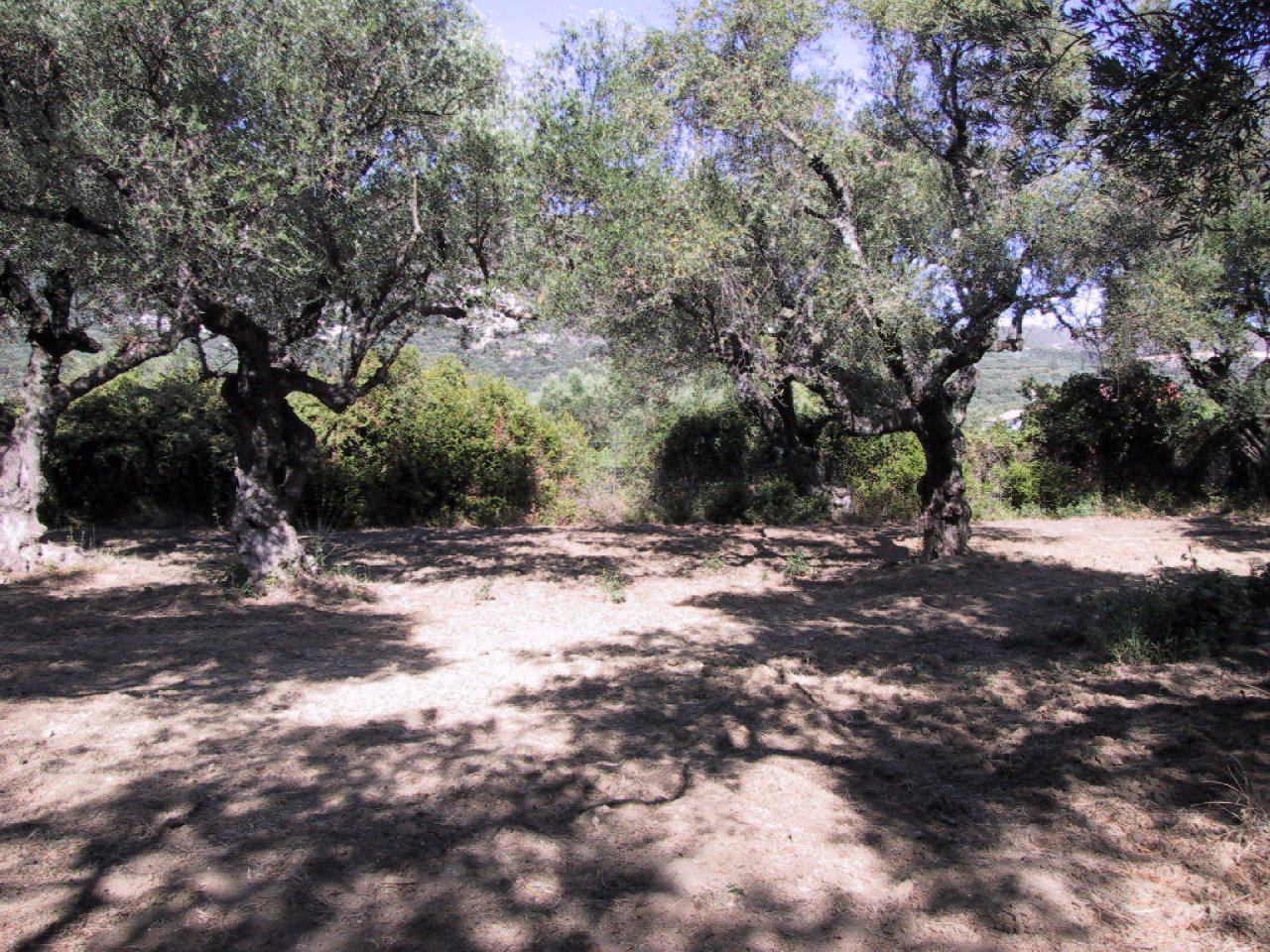 zakynthos_003