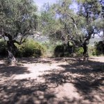 zakynthos_003