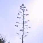 zakynthos_011