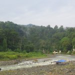 BukitLawang_003