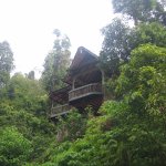 BukitLawang_004