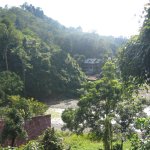 BukitLawang_009