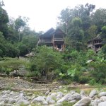 BukitLawang_011