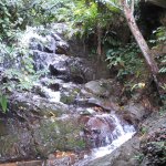 BukitLawang_012
