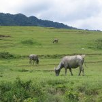 LakeToba_003
