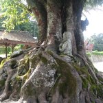 LakeToba_005
