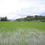 LakeToba_012