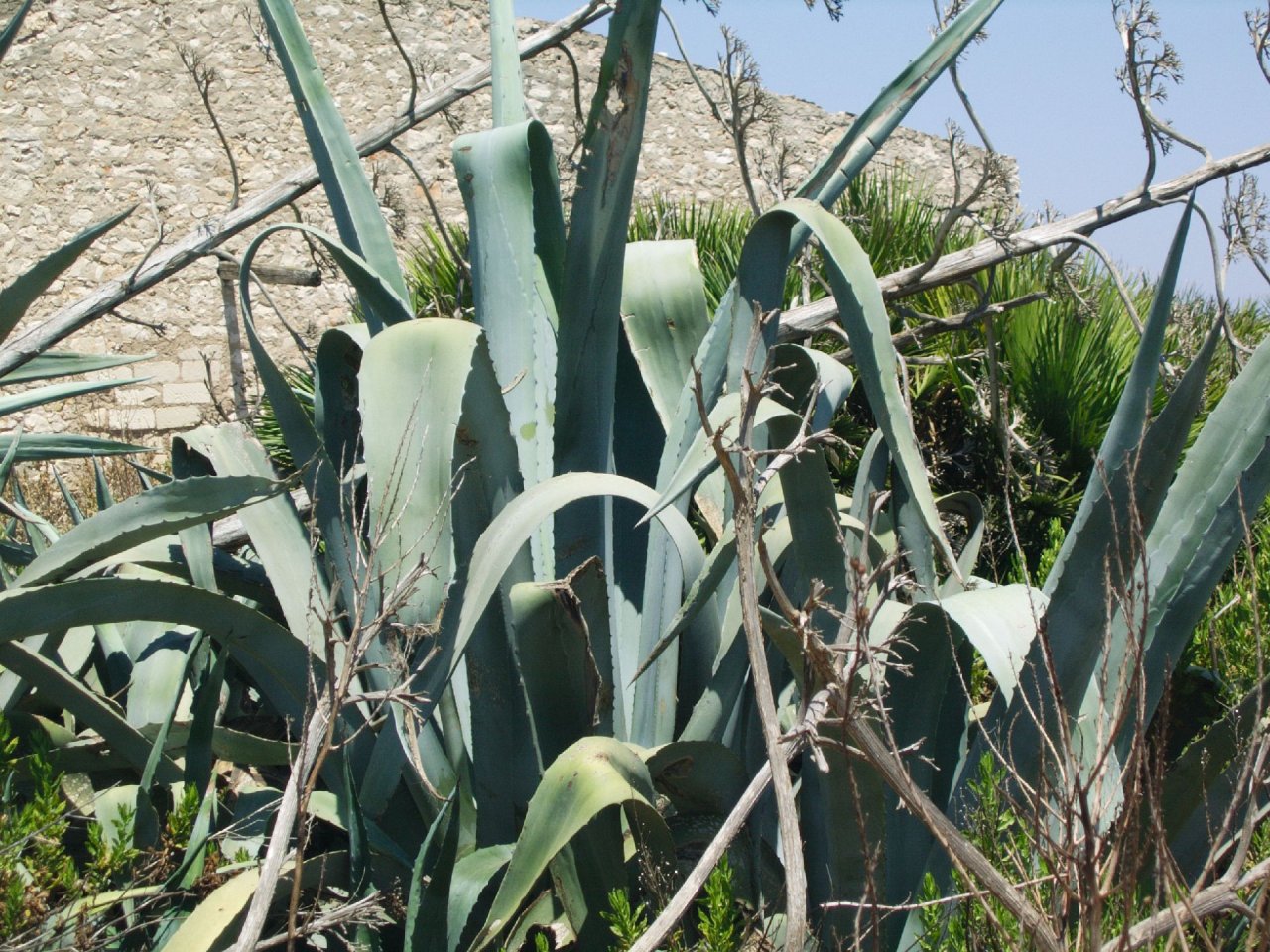 Portopalo_006