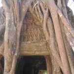 Angkor008