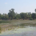 Angkor010