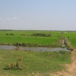 TonleSap001