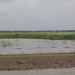 TonleSap010