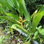 Langkawi_003