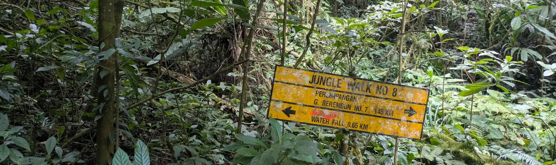 Trekking Cameron Highlands Cameron Highlands Jungle Trails