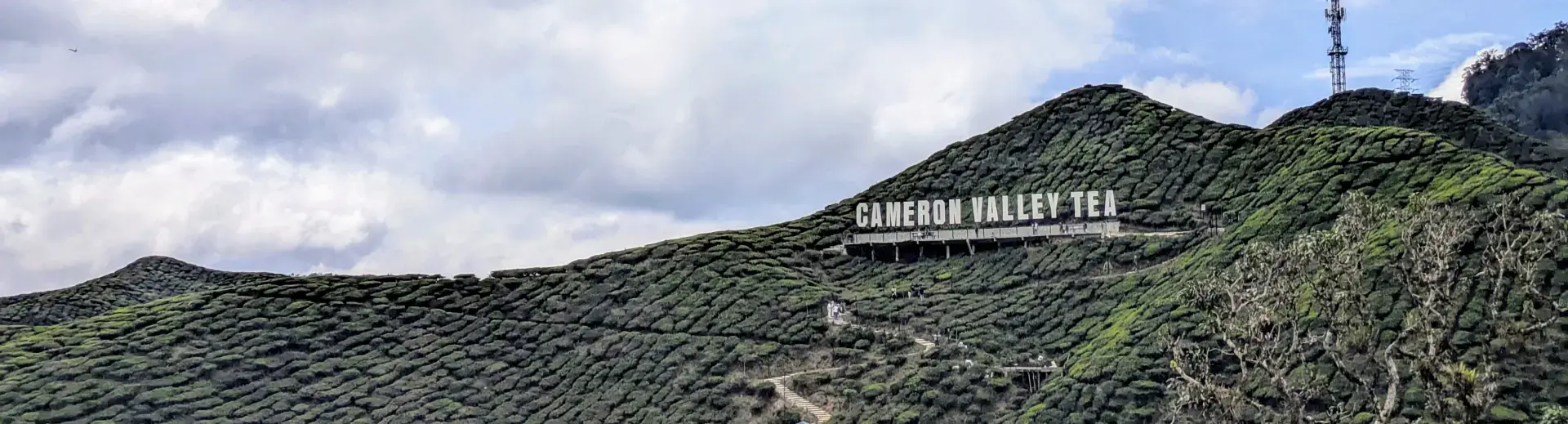 Trekking Cameron Highlands Trekking Cameron Highlands