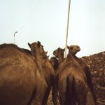 marocco_003