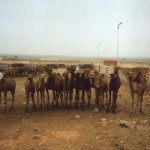 marocco_004