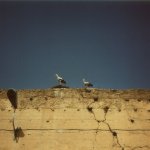 marocco_012