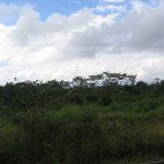 0723_Mexico_Guatemala_2007
