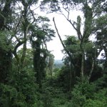 0749_Mexico_Guatemala_2007