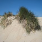 053_Renesse_2010