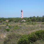 084_Renesse_2010