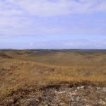 017_texel_2003