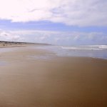 030_texel_2003
