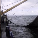 045_texel_2003