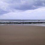 069_texel_2003