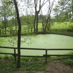 056_lahnradweg_2010