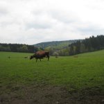057_lahnradweg_2010