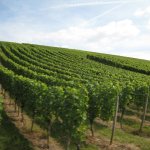 269_bayern_franken_2009