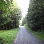 Auf dem Weg zur Ruhrquelle