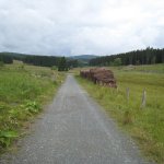 Hochtal bei Winterberg