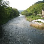 weserradweg_1_005