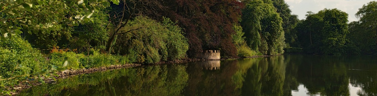 botanischer garten rombergpark