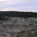 costa_del_luz_010