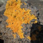 el_hierro_011