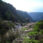 gomera_006