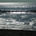 gomera_008
