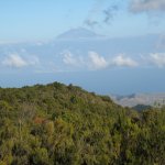 gomera_032