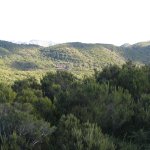 gomera_033